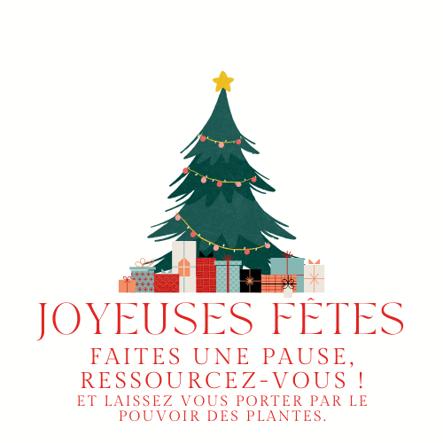 Carte Cadeau Fêtes Noël