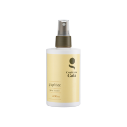 Graphiste spray fixant