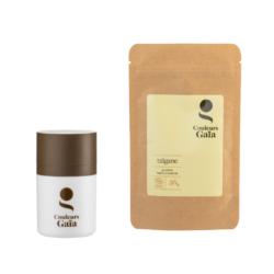 Tzigane et Poudrier
